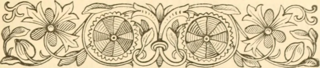 An illustration from Physiognomy illustrated ; or, Nature's revelations of character : a description of the mental, moral, and volitive dispositions of mankind, as manifested in the human form and countenance, 1891, leaf 584