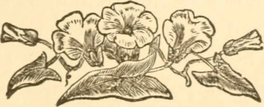 An illustration from Physiognomy illustrated ; or, Nature's revelations of character : a description of the mental, moral, and volitive dispositions of mankind, as manifested in the human form and countenance, 1891, leaf 618