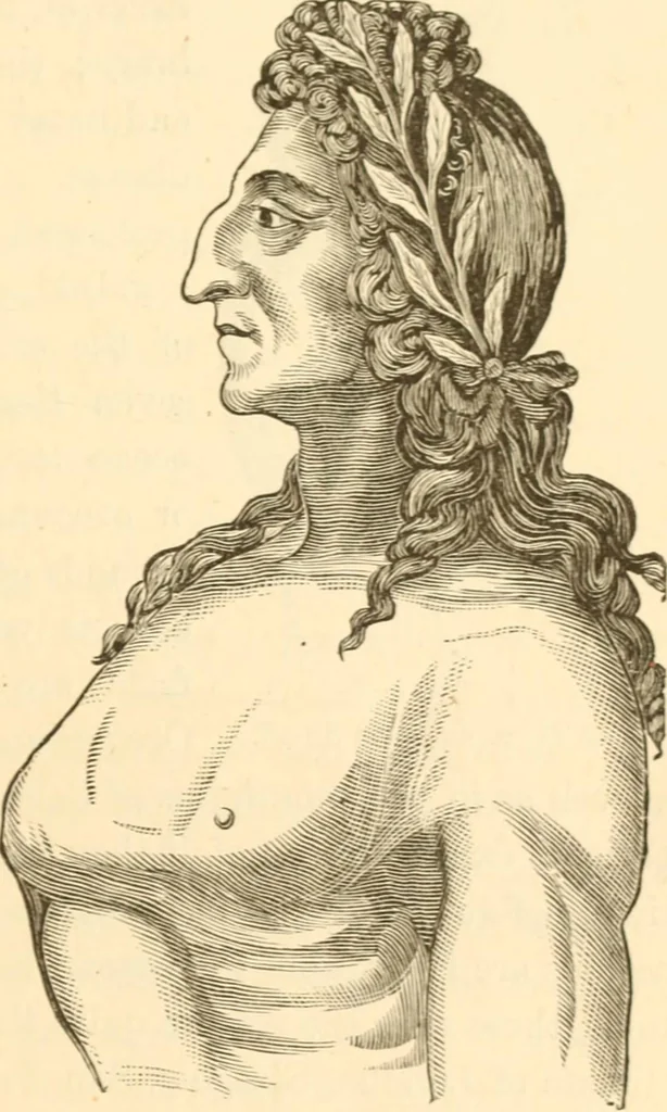 An illustration from Physiognomy illustrated ; or, Nature's revelations of character : a description of the mental, moral, and volitive dispositions of mankind, as manifested in the human form and countenance, 1891, leaf 82