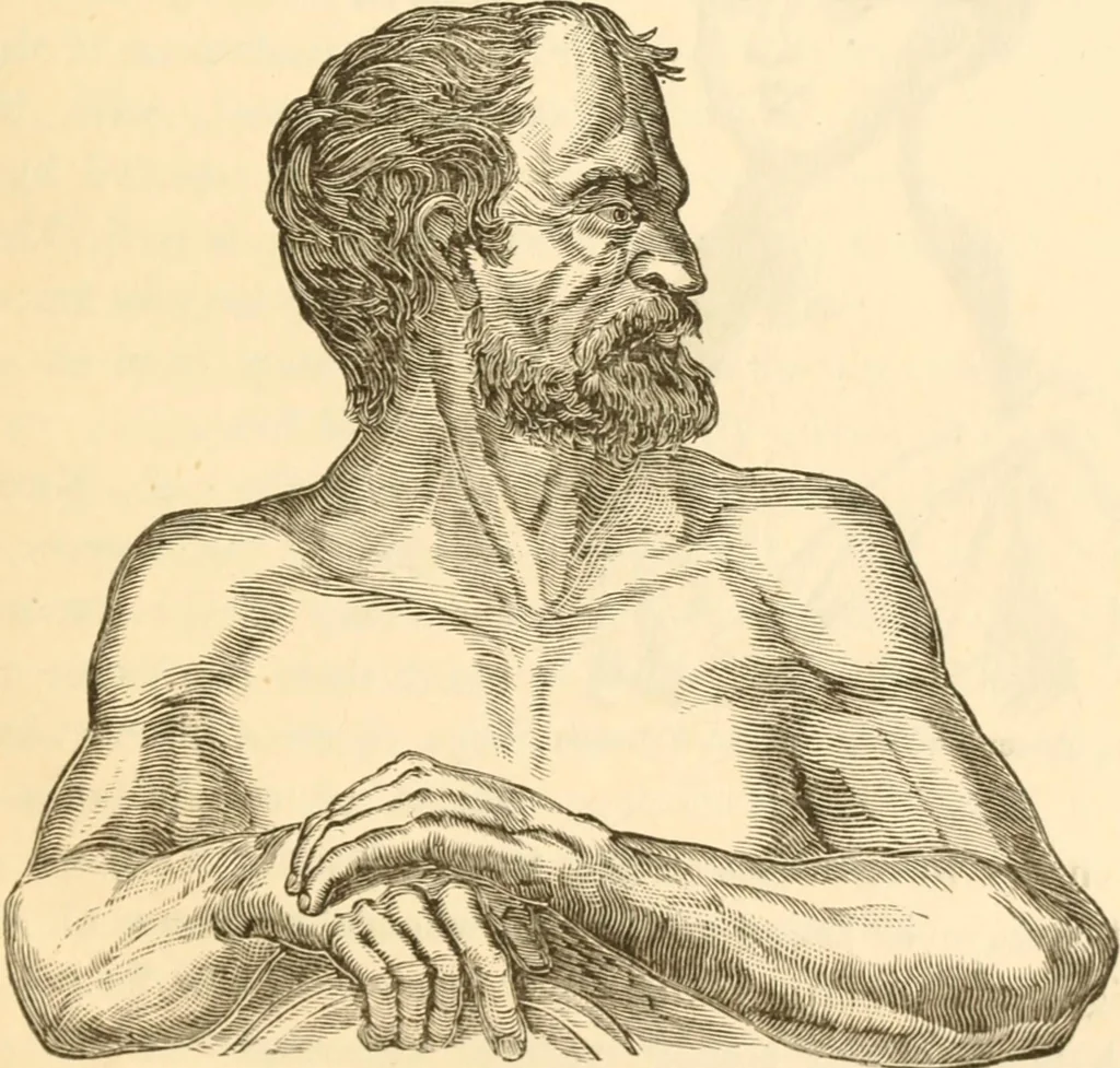 An illustration from Physiognomy illustrated ; or, Nature's revelations of character : a description of the mental, moral, and volitive dispositions of mankind, as manifested in the human form and countenance, 1891, leaf 88