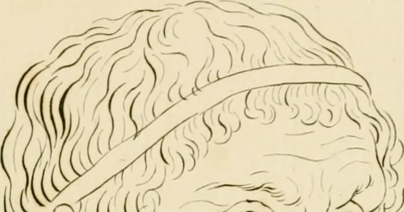 An illustration from Physiognomical sketches by Lavater, 1802, leaf 22