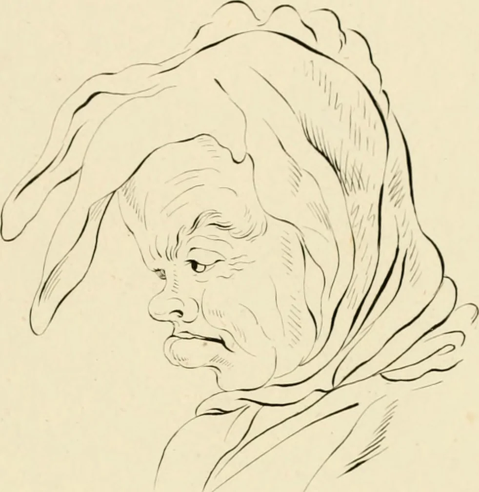 An illustration from Physiognomical sketches by Lavater, 1802, leaf 68