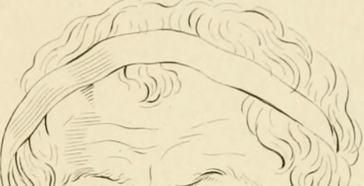 An illustration from Physiognomical sketches by Lavater, 1802, leaf 74