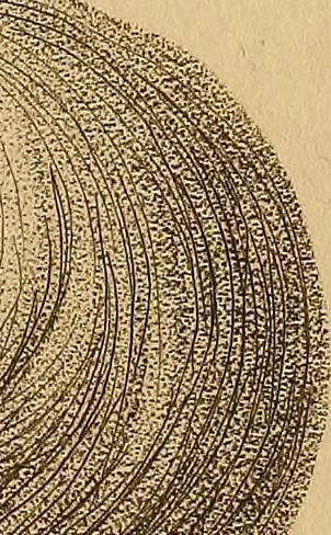 An illustration from The physiognomical system of Drs. Gall and Spurzheim; founded on an anatomical and physiological examination of the nervous system in general, and of the brain in particular; and indicating the dispositions and manifestations of the mind, 1815, leaf 606