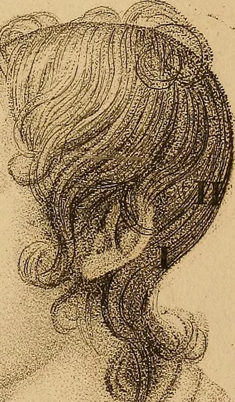 An illustration from The physiognomical system of Drs. Gall and Spurzheim; founded on an anatomical and physiological examination of the nervous system in general, and of the brain in particular; and indicating the dispositions and manifestations of the mind, 1815, leaf 610