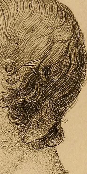An illustration from The physiognomical system of Drs. Gall and Spurzheim; founded on an anatomical and physiological examination of the nervous system in general, and of the brain in particular; and indicating the dispositions and manifestations of the mind, 1815, leaf 622