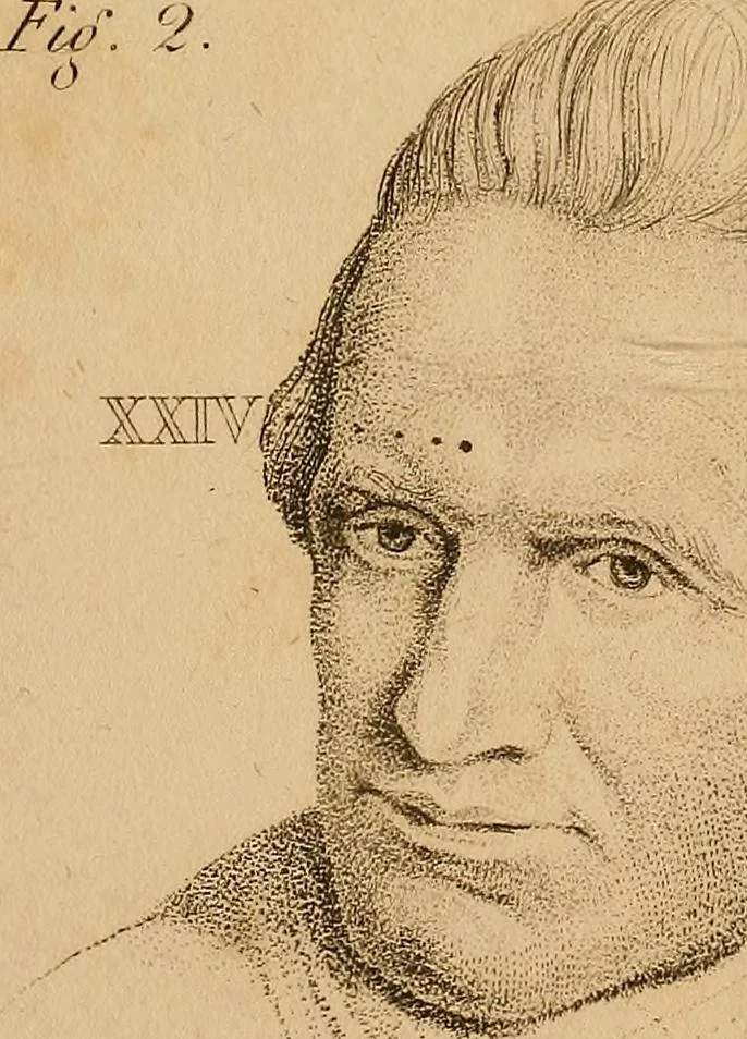 An illustration from The physiognomical system of Drs. Gall and Spurzheim; founded on an anatomical and physiological examination of the nervous system in general, and of the brain in particular; and indicating the dispositions and manifestations of the mind, 1815, leaf 628