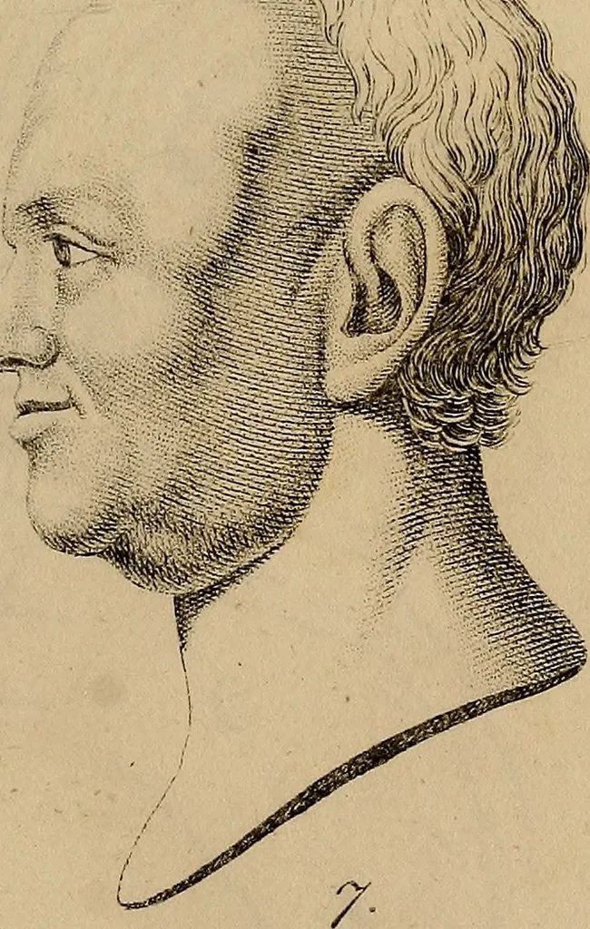 An illustration from Physiognomik. Zur Beförderung der Menschenkenntniss und Menschenliebe, 1829, leaf 176