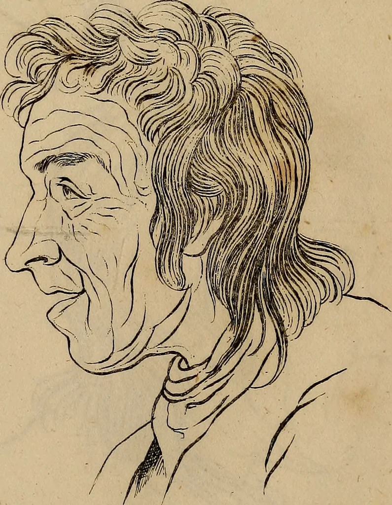 An illustration from Physiognomik. Zur Beförderung der Menschenkenntniss und Menschenliebe, 1829, leaf 178