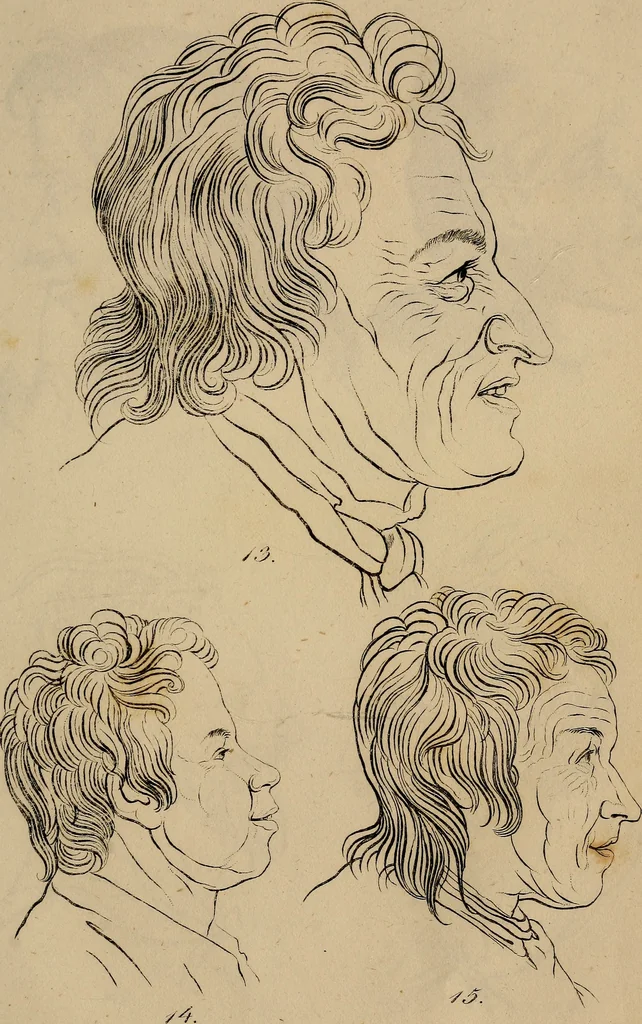 An illustration from Physiognomik. Zur Beförderung der Menschenkenntniss und Menschenliebe, 1829, leaf 180