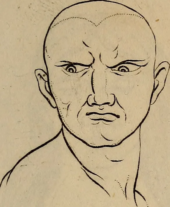 An illustration from Physiognomik. Zur Beförderung der Menschenkenntniss und Menschenliebe, 1829, leaf 186