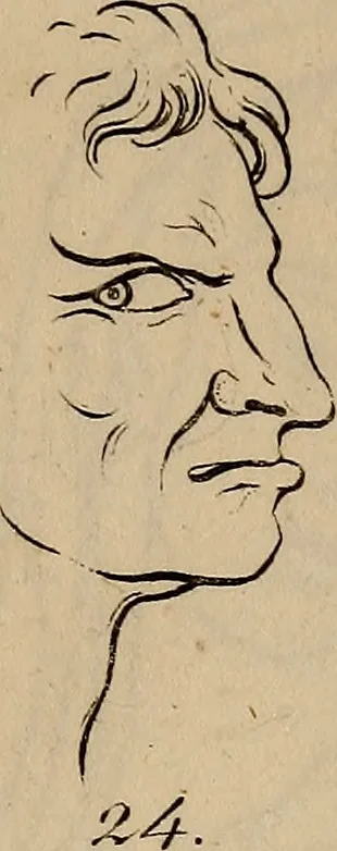 An illustration from Physiognomik. Zur Beförderung der Menschenkenntniss und Menschenliebe, 1829, leaf 186