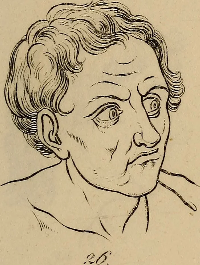 An illustration from Physiognomik. Zur Beförderung der Menschenkenntniss und Menschenliebe, 1829, leaf 186