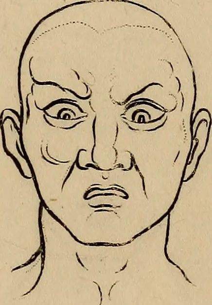 An illustration from Physiognomik. Zur Beförderung der Menschenkenntniss und Menschenliebe, 1829, leaf 186