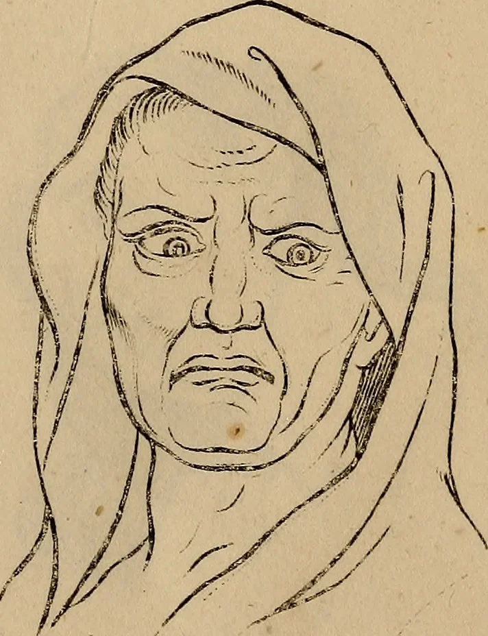 An illustration from Physiognomik. Zur Beförderung der Menschenkenntniss und Menschenliebe, 1829, leaf 186