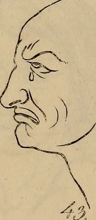 An illustration from Physiognomik. Zur Beförderung der Menschenkenntniss und Menschenliebe, 1829, leaf 190