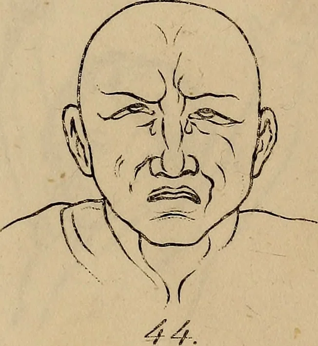An illustration from Physiognomik. Zur Beförderung der Menschenkenntniss und Menschenliebe, 1829, leaf 190