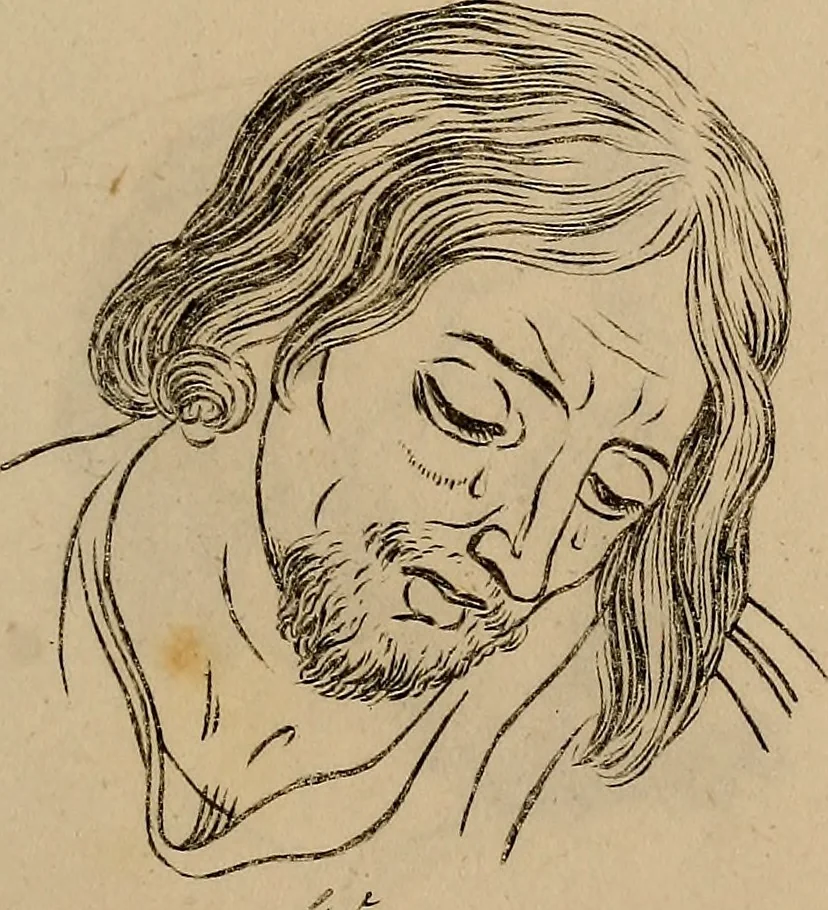 An illustration from Physiognomik. Zur Beförderung der Menschenkenntniss und Menschenliebe, 1829, leaf 190