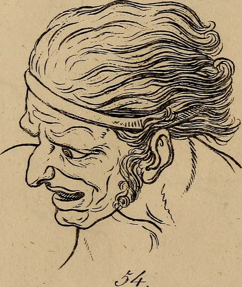 An illustration from Physiognomik. Zur Beförderung der Menschenkenntniss und Menschenliebe, 1829, leaf 192