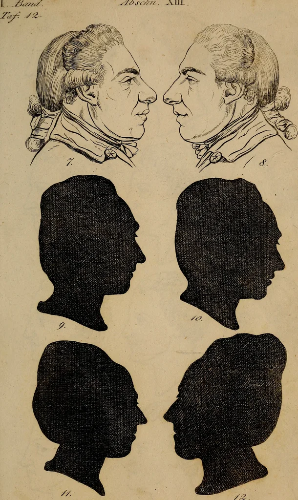 An illustration from Physiognomik. Zur Beförderung der Menschenkenntniss und Menschenliebe, 1829, leaf 196