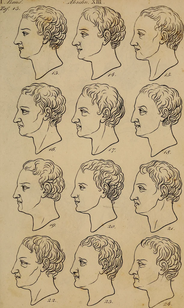 An illustration from Physiognomik. Zur Beförderung der Menschenkenntniss und Menschenliebe, 1829, leaf 198