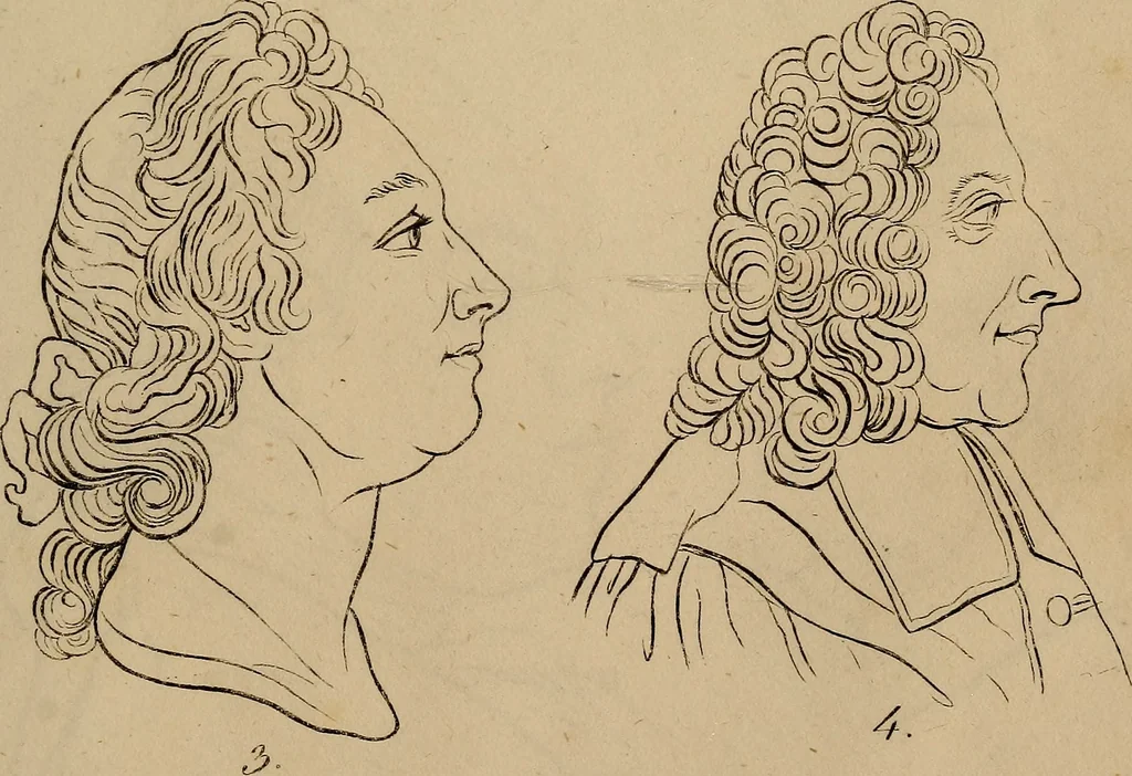 An illustration from Physiognomik. Zur Beförderung der Menschenkenntniss und Menschenliebe, 1829, leaf 202