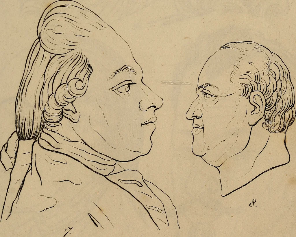 An illustration from Physiognomik. Zur Beförderung der Menschenkenntniss und Menschenliebe, 1829, leaf 204