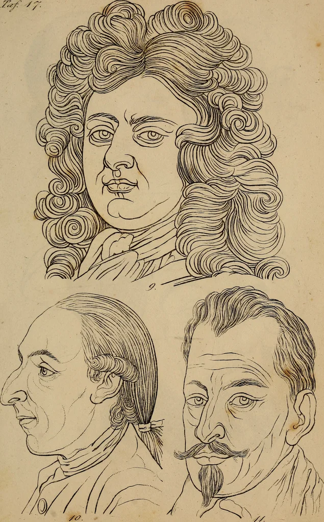 An illustration from Physiognomik. Zur Beförderung der Menschenkenntniss und Menschenliebe, 1829, leaf 206
