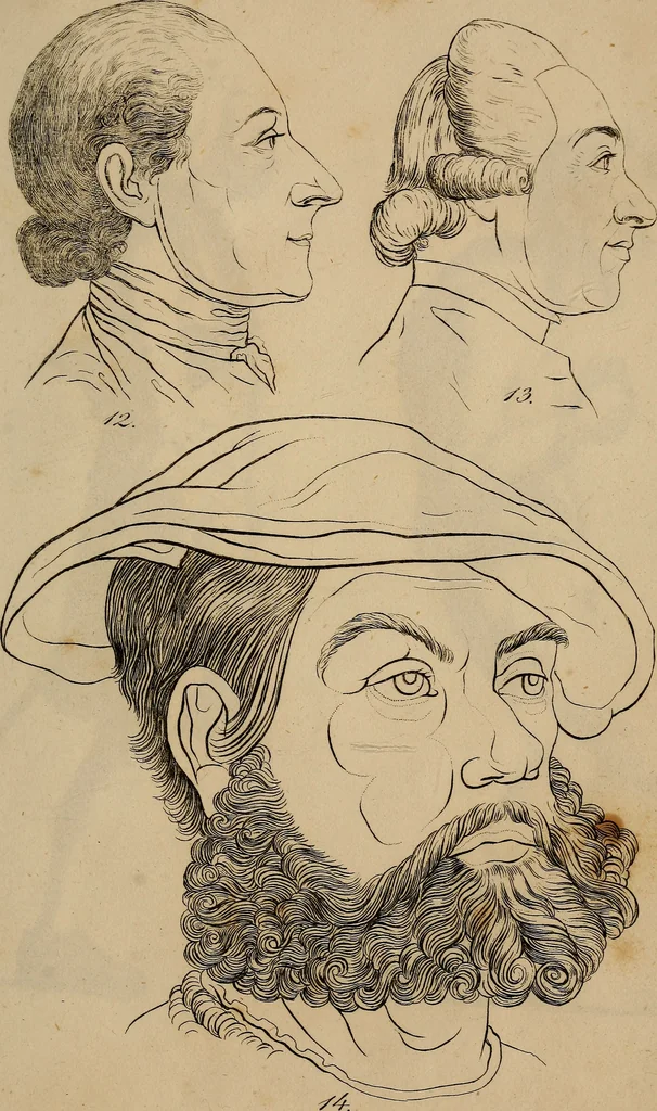 An illustration from Physiognomik. Zur Beförderung der Menschenkenntniss und Menschenliebe, 1829, leaf 208
