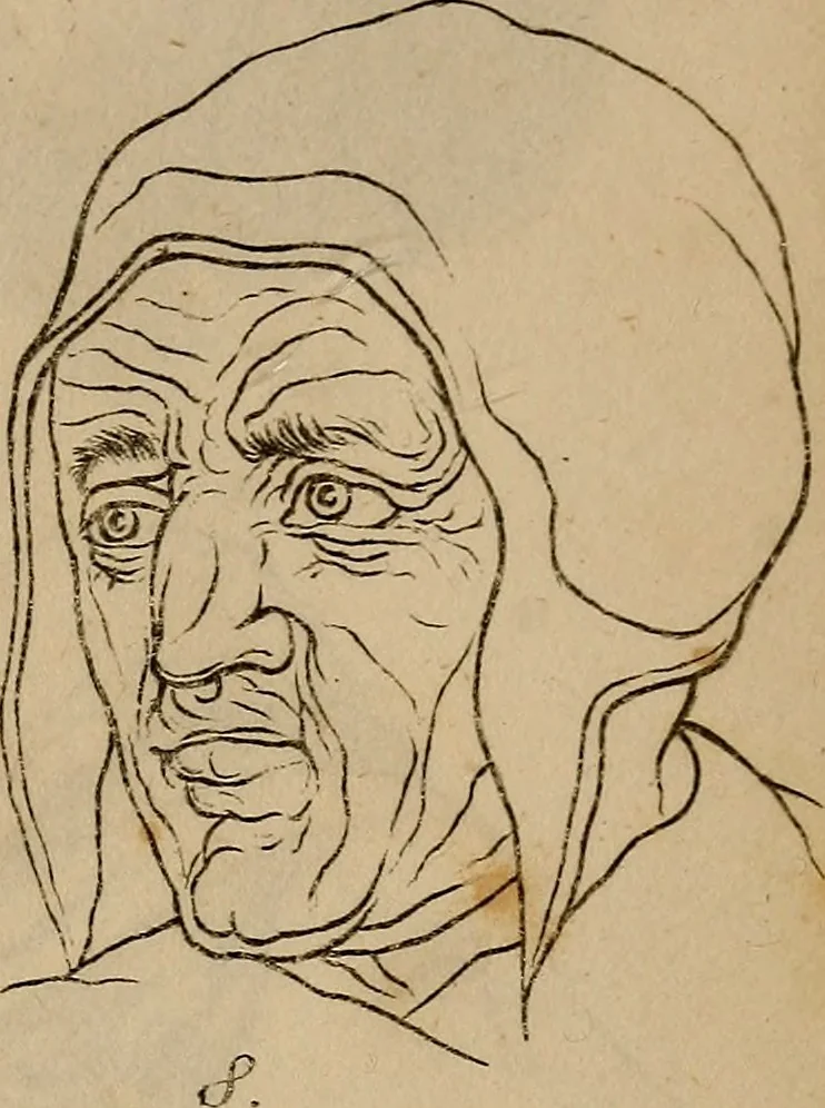 An illustration from Physiognomik. Zur Beförderung der Menschenkenntniss und Menschenliebe, 1829, leaf 214