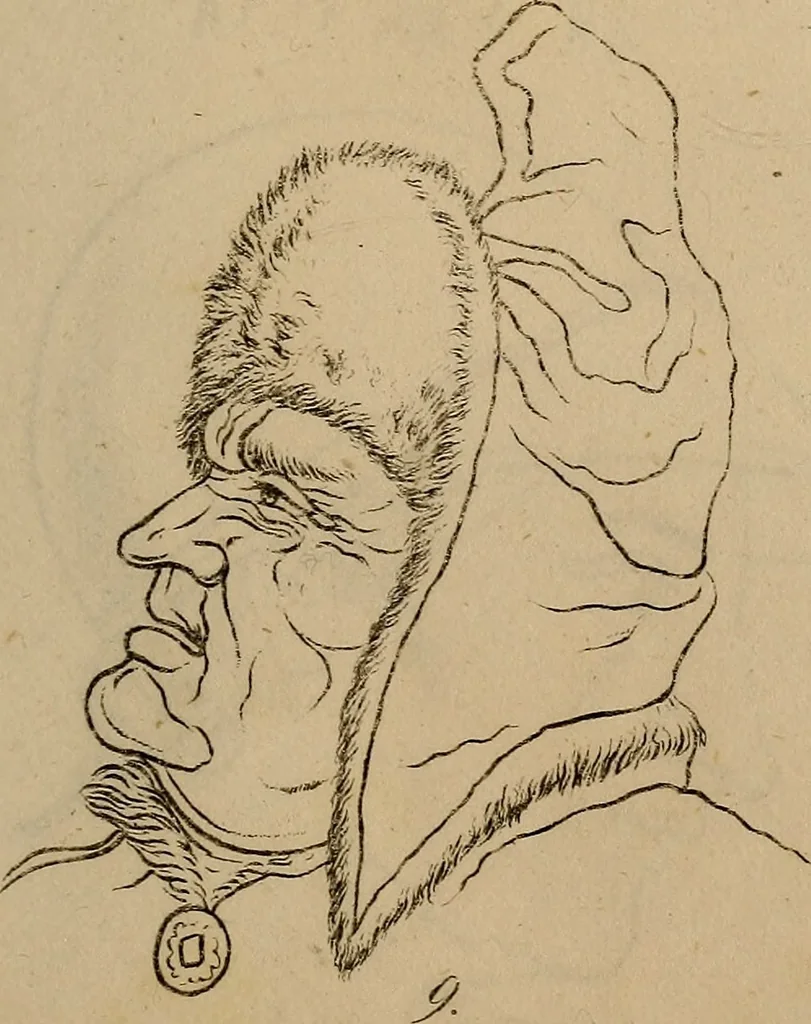 An illustration from Physiognomik. Zur Beförderung der Menschenkenntniss und Menschenliebe, 1829, leaf 214