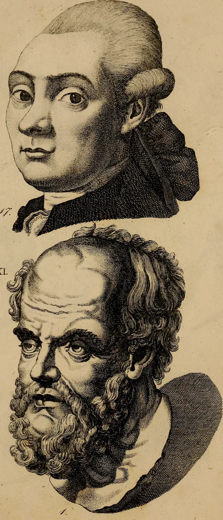 An illustration from Physiognomik. Zur Beförderung der Menschenkenntniss und Menschenliebe, 1829, leaf 218