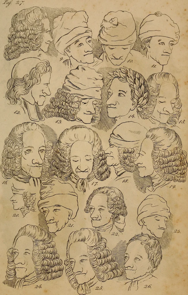 An illustration from Physiognomik. Zur Beförderung der Menschenkenntniss und Menschenliebe, 1829, leaf 226