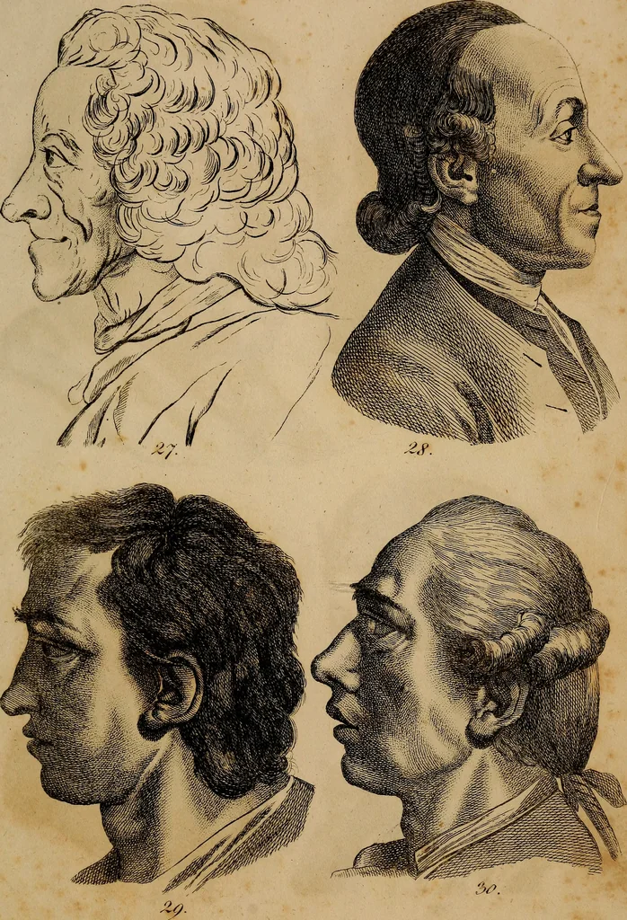 An illustration from Physiognomik. Zur Beförderung der Menschenkenntniss und Menschenliebe, 1829, leaf 228