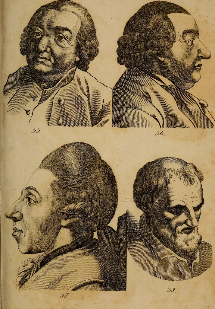 An illustration from Physiognomik. Zur Beförderung der Menschenkenntniss und Menschenliebe, 1829, leaf 232