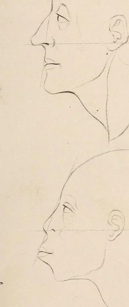 An illustration from Physiognomy founded on physiology, and applied to various countries, professions, and individuals;, 1834, leaf 68