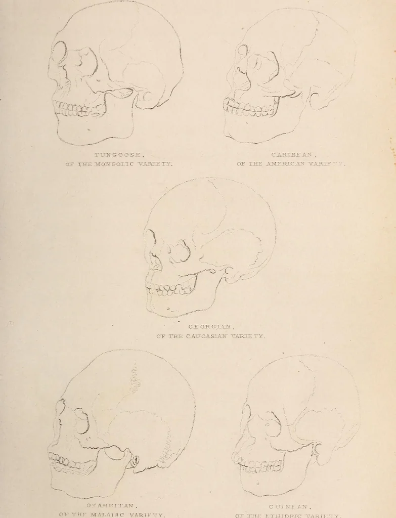 An illustration from Physiognomy founded on physiology, and applied to various countries, professions, and individuals;, 1834, leaf 96