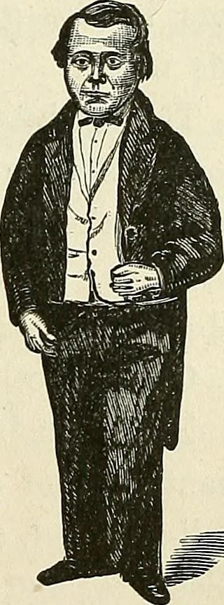 An illustration from Physiognomy illustrated; or, nature's revelations of character. A description of the mental, moral, and volitive dispositions of mankind, as manifested in the human form and countenance, 1887, leaf 106