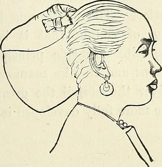 An illustration from Physiognomy illustrated; or, nature's revelations of character. A description of the mental, moral, and volitive dispositions of mankind, as manifested in the human form and countenance, 1887, leaf 166