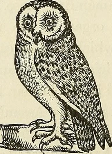 An illustration from Physiognomy illustrated; or, nature's revelations of character. A description of the mental, moral, and volitive dispositions of mankind, as manifested in the human form and countenance, 1887, leaf 169