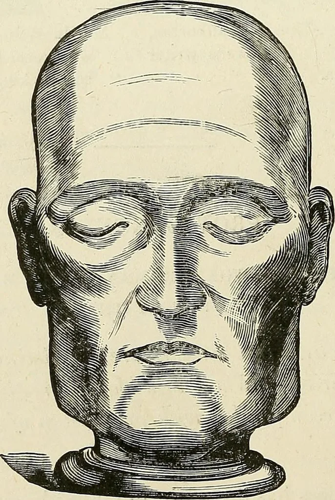 An illustration from Physiognomy illustrated; or, nature's revelations of character. A description of the mental, moral, and volitive dispositions of mankind, as manifested in the human form and countenance, 1887, leaf 191