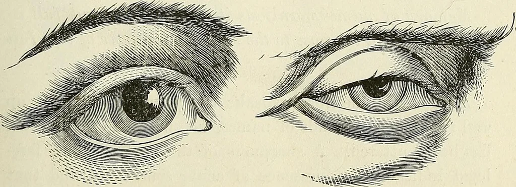 An illustration from Physiognomy illustrated; or, nature's revelations of character. A description of the mental, moral, and volitive dispositions of mankind, as manifested in the human form and countenance, 1887, leaf 192