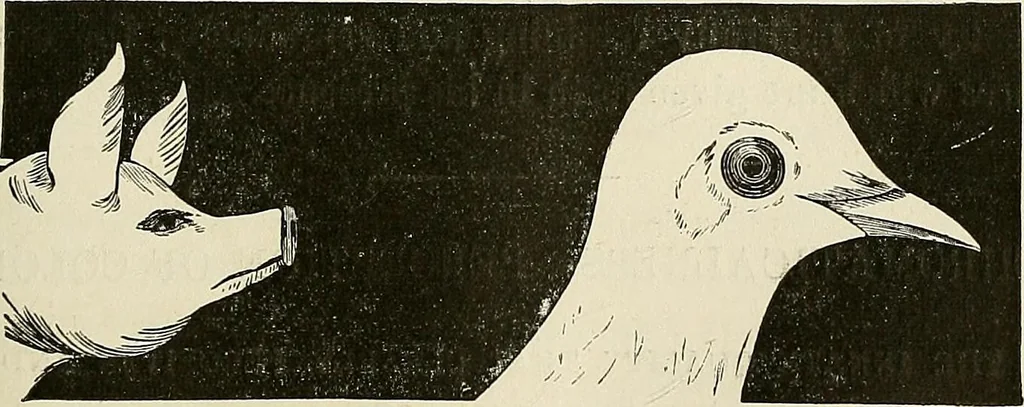 An illustration from Physiognomy illustrated; or, nature's revelations of character. A description of the mental, moral, and volitive dispositions of mankind, as manifested in the human form and countenance, 1887, leaf 192
