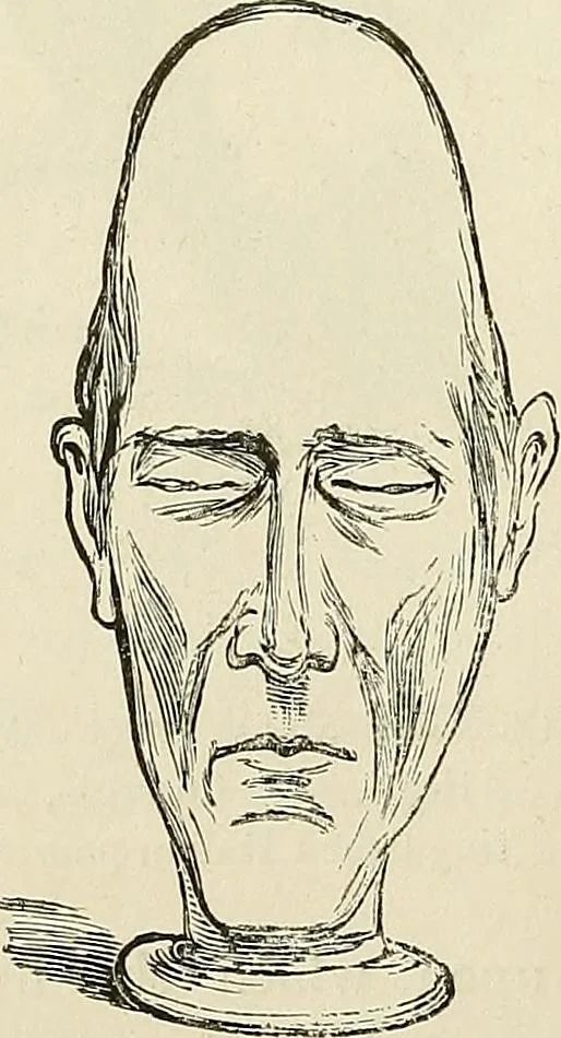 An illustration from Physiognomy illustrated; or, nature's revelations of character. A description of the mental, moral, and volitive dispositions of mankind, as manifested in the human form and countenance, 1887, leaf 195