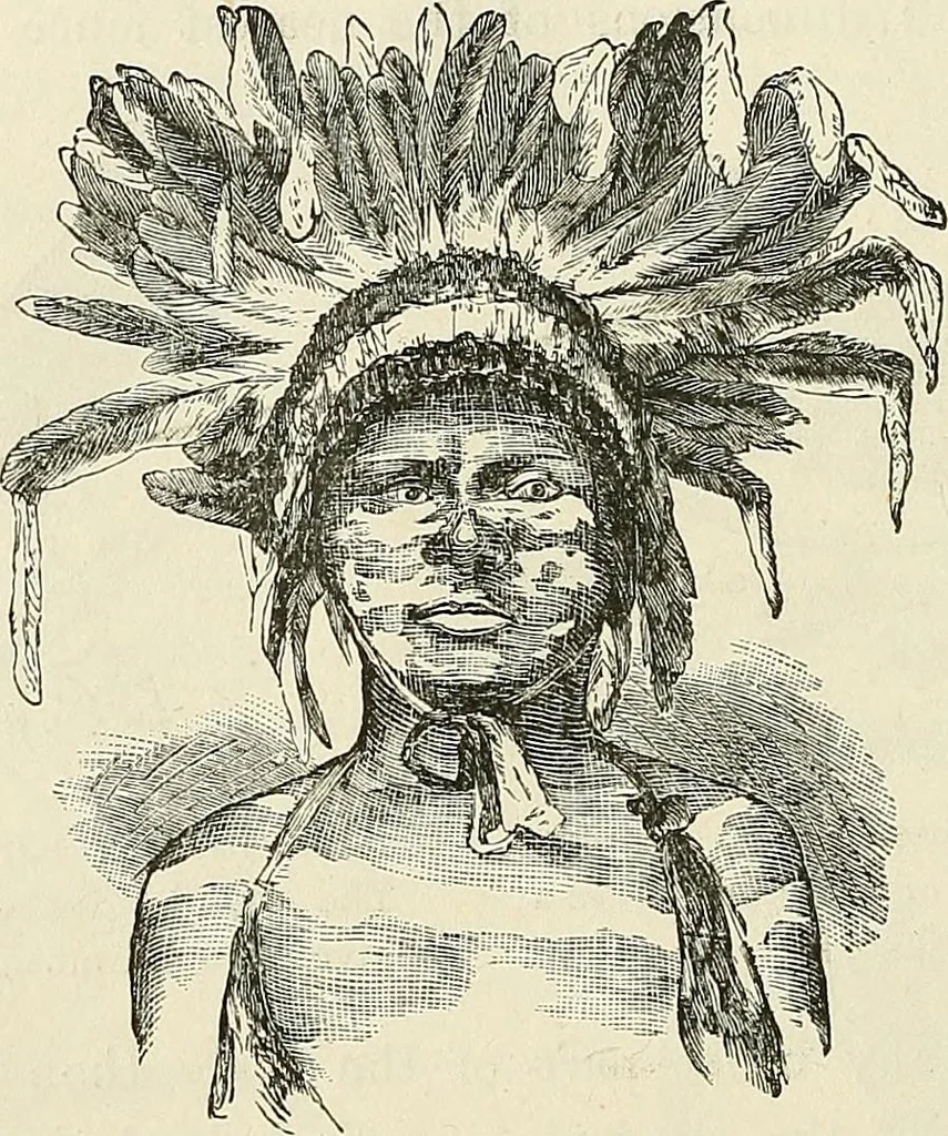 An illustration from Physiognomy illustrated; or, nature's revelations of character. A description of the mental, moral, and volitive dispositions of mankind, as manifested in the human form and countenance, 1887, leaf 207