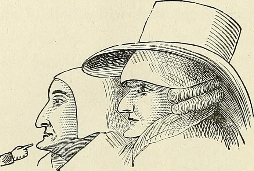 An illustration from Physiognomy illustrated; or, nature's revelations of character. A description of the mental, moral, and volitive dispositions of mankind, as manifested in the human form and countenance, 1887, leaf 213