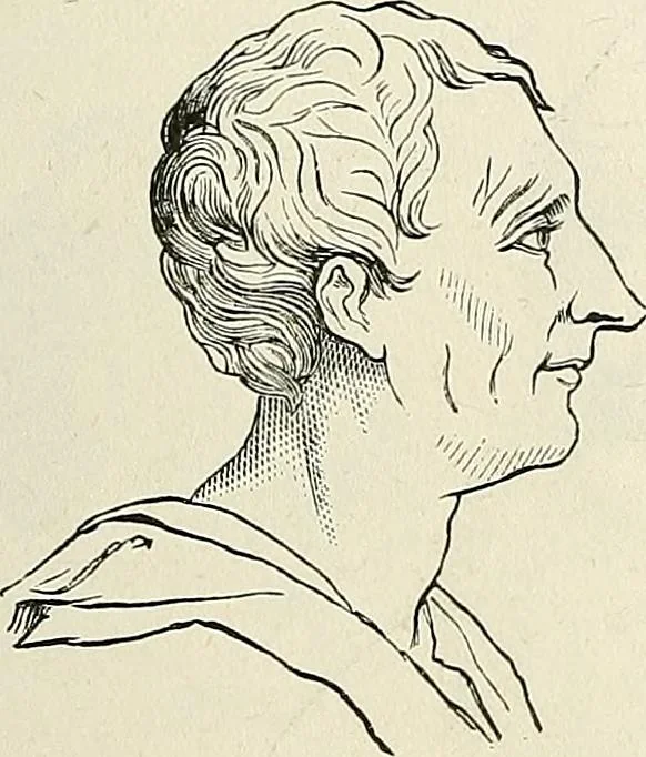 An illustration from Physiognomy illustrated; or, nature's revelations of character. A description of the mental, moral, and volitive dispositions of mankind, as manifested in the human form and countenance, 1887, leaf 220