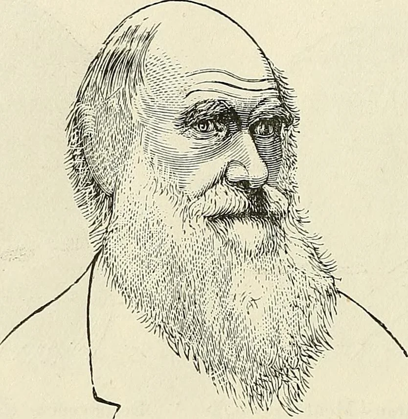 An illustration from Physiognomy illustrated; or, nature's revelations of character. A description of the mental, moral, and volitive dispositions of mankind, as manifested in the human form and countenance, 1887, leaf 221