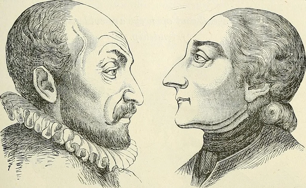 An illustration from Physiognomy illustrated; or, nature's revelations of character. A description of the mental, moral, and volitive dispositions of mankind, as manifested in the human form and countenance, 1887, leaf 228