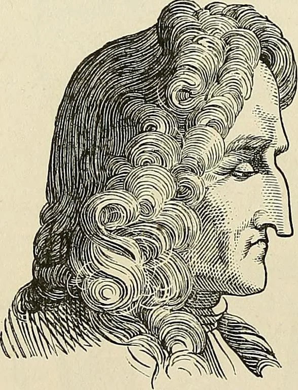 An illustration from Physiognomy illustrated; or, nature's revelations of character. A description of the mental, moral, and volitive dispositions of mankind, as manifested in the human form and countenance, 1887, leaf 235